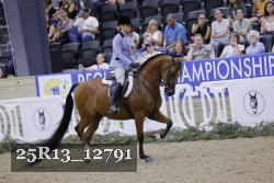 25R13_12791 thumbnail