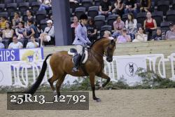 25R13_12792 thumbnail