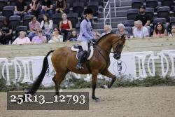 25R13_12793 thumbnail