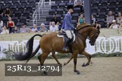 25R13_12794 thumbnail