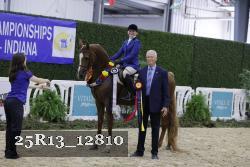 25R13_12810 thumbnail
