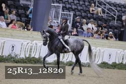 25R13_12820 thumbnail