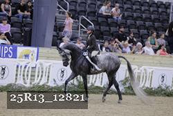 25R13_12821 thumbnail