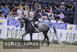 25R13_12822 thumbnail