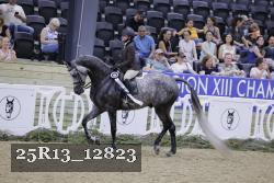 25R13_12823 thumbnail