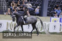 25R13_12824 thumbnail