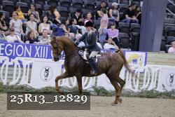 25R13_12829 thumbnail