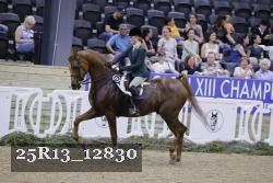 25R13_12830 thumbnail