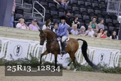 25R13_12834 thumbnail