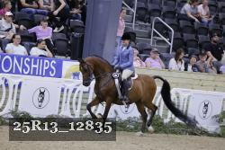 25R13_12835 thumbnail