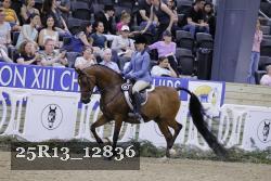 25R13_12836 thumbnail