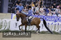 25R13_12837 thumbnail