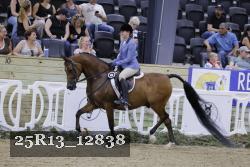 25R13_12838 thumbnail
