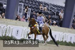 25R13_12839 thumbnail