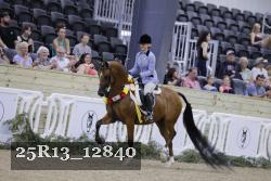25R13_12840 thumbnail