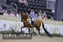 25R13_12841 thumbnail