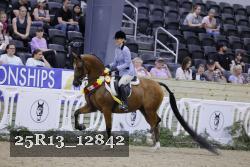 25R13_12842 thumbnail