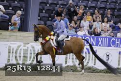 25R13_12844 thumbnail