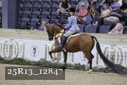 25R13_12847 thumbnail