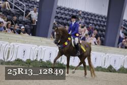 25R13_12849 thumbnail