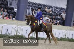 25R13_12850 thumbnail