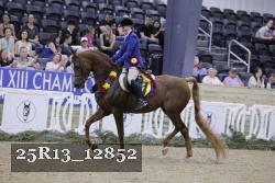 25R13_12852 thumbnail