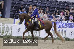25R13_12853 thumbnail