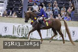 25R13_12854 thumbnail