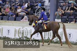 25R13_12855 thumbnail