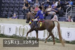 25R13_12856 thumbnail