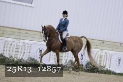 25R13_12857 thumbnail