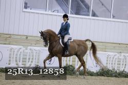 25R13_12858 thumbnail