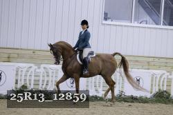 25R13_12859 thumbnail