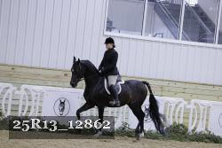 25R13_12862 thumbnail