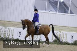 25R13_12864 thumbnail