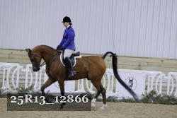 25R13_12866 thumbnail