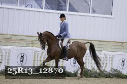 25R13_12870 thumbnail