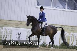 25R13_12873 thumbnail