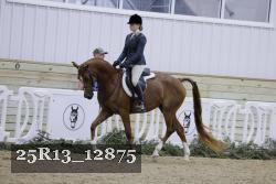 25R13_12875 thumbnail