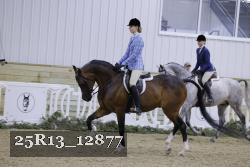 25R13_12877 thumbnail