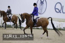 25R13_12878 thumbnail