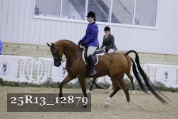 25R13_12879 thumbnail