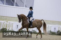 25R13_12884 thumbnail