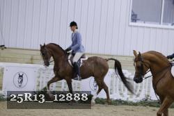 25R13_12888 thumbnail