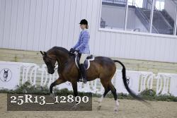 25R13_12890 thumbnail