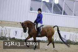 25R13_12891 thumbnail