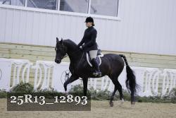 25R13_12893 thumbnail