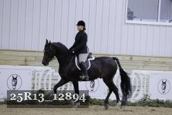 25R13_12894 thumbnail
