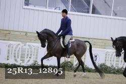 25R13_12895 thumbnail