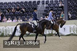 25R13_12896 thumbnail